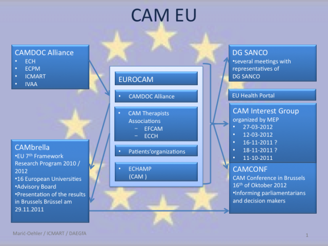 The network of EU CAM representation in Brussels