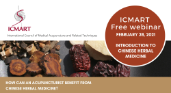ICMART webinar 2021 picture